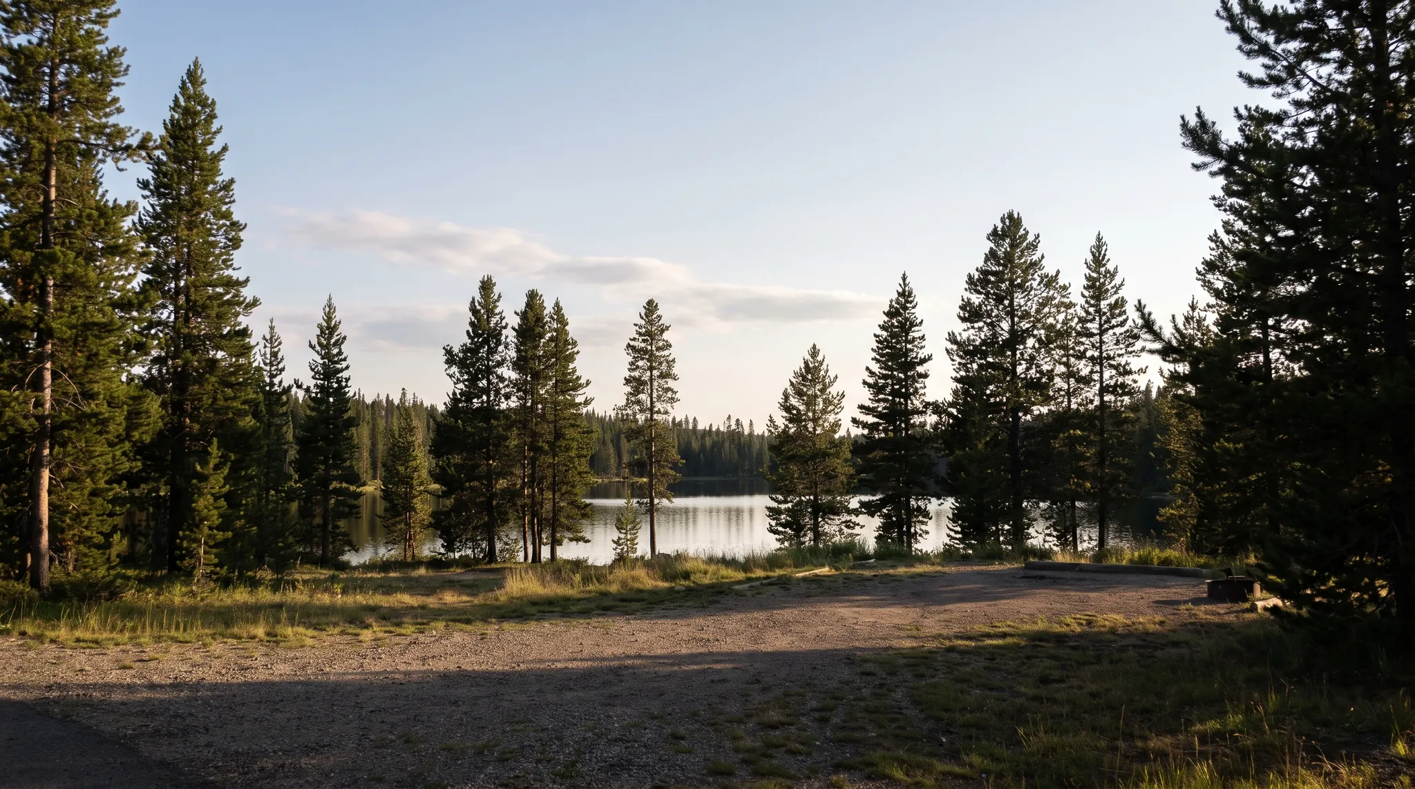 A white travel trailer on a gravel clearing among tall pines by a lake