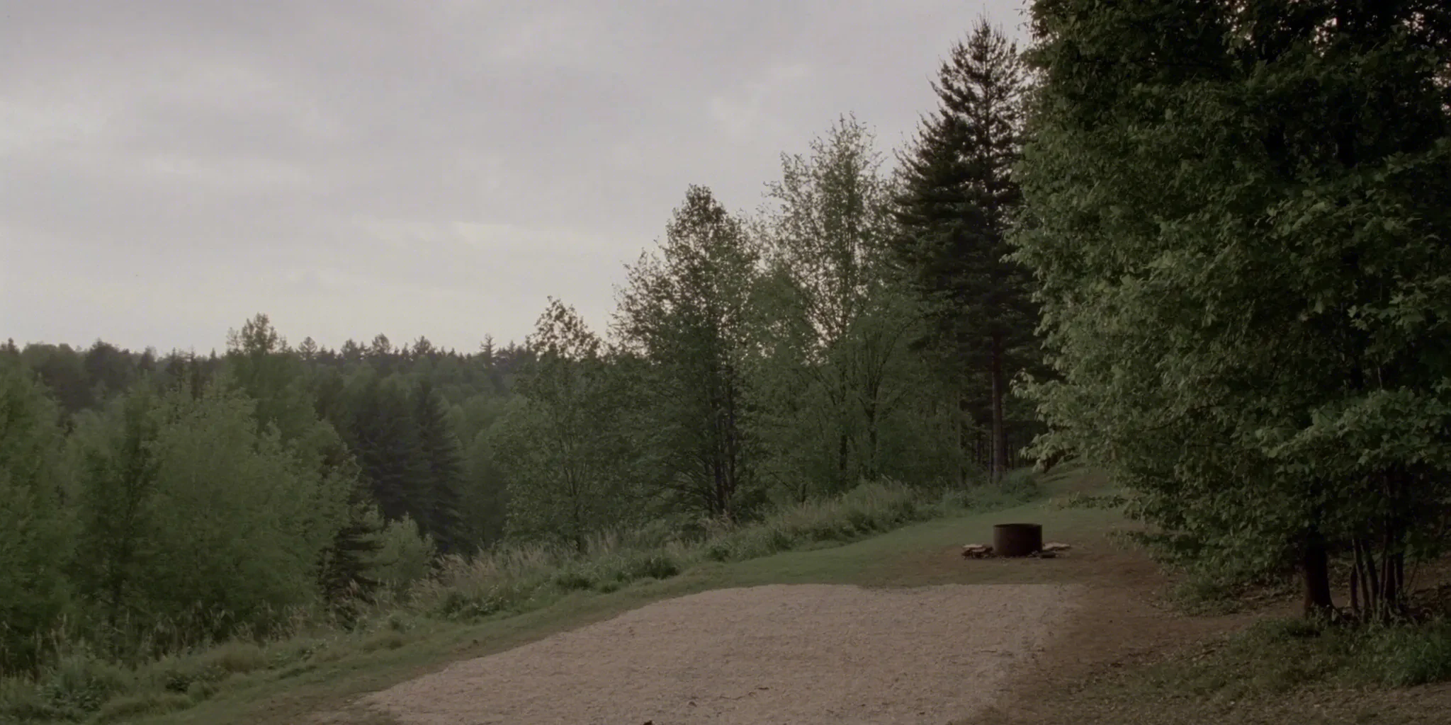 A grassy campsite with a fire ring at the edge of a mixed forest under an overcast sky