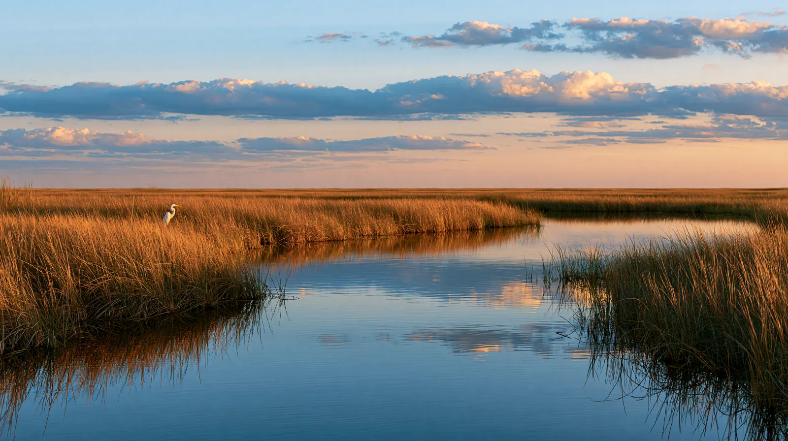 National Preserves — representative scene