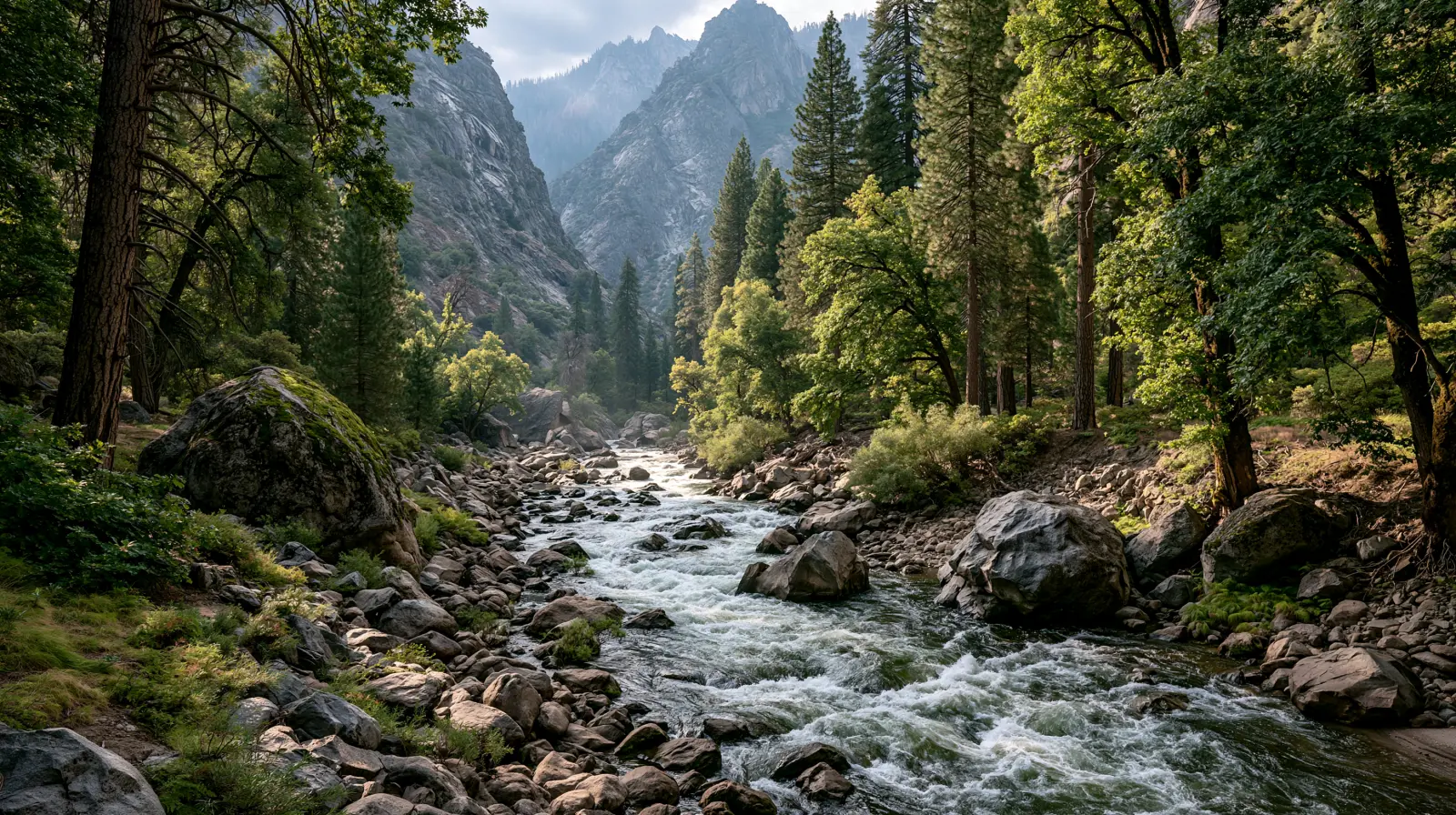 Kings Canyon National Park