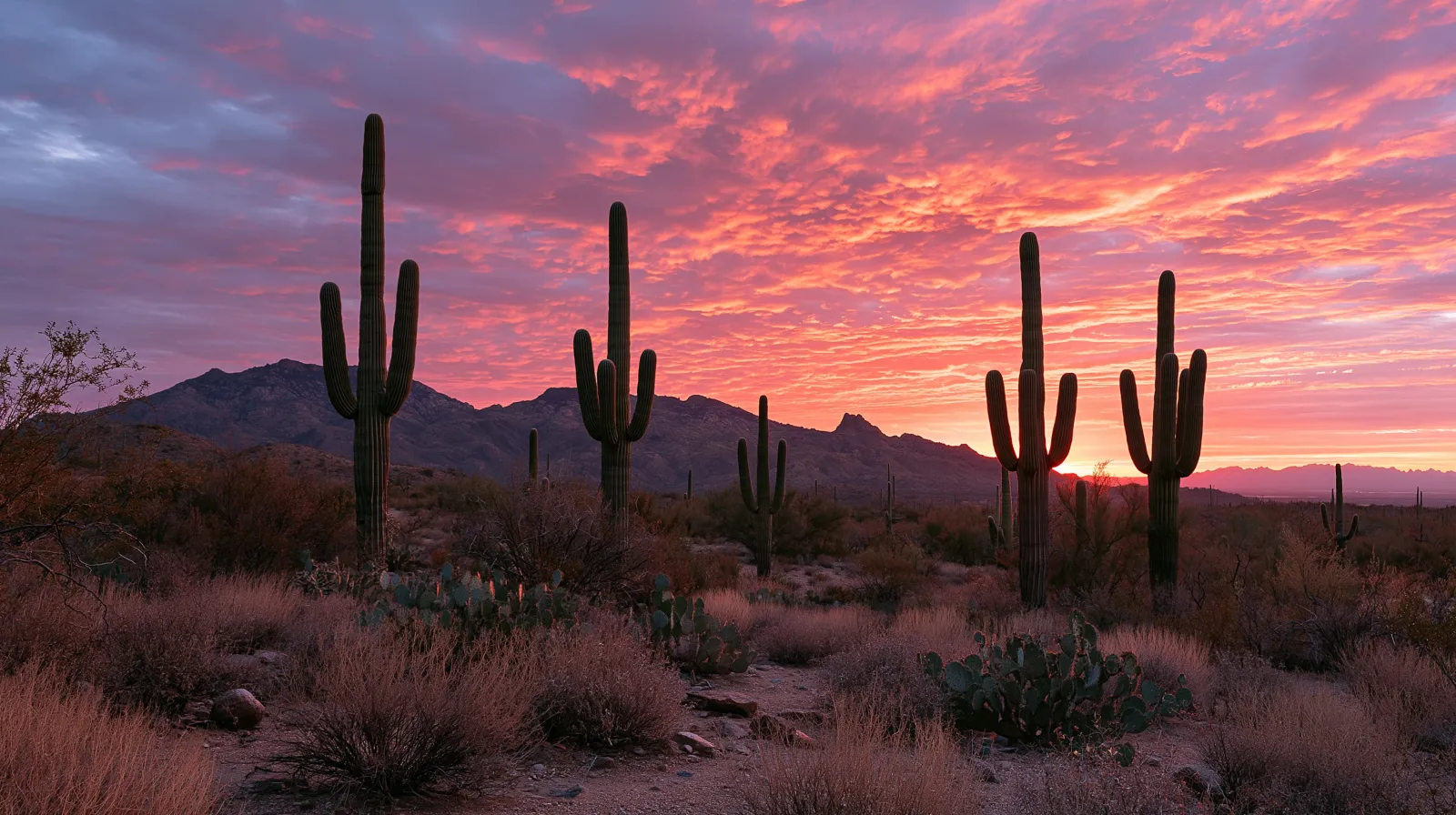 Lost Dutchman