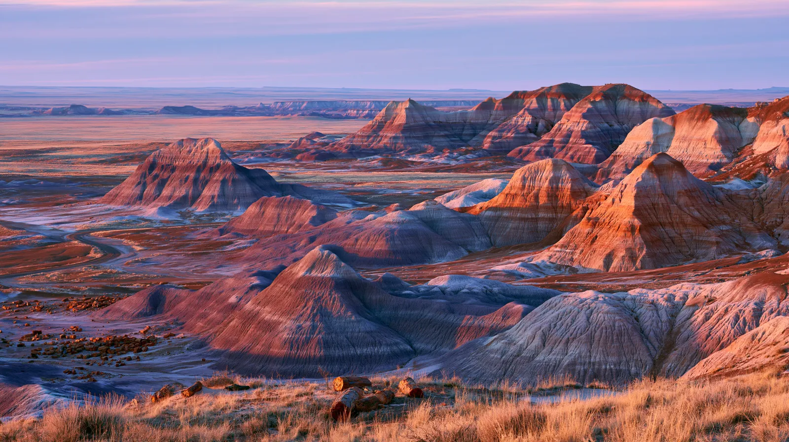 Petrified Forest National Park