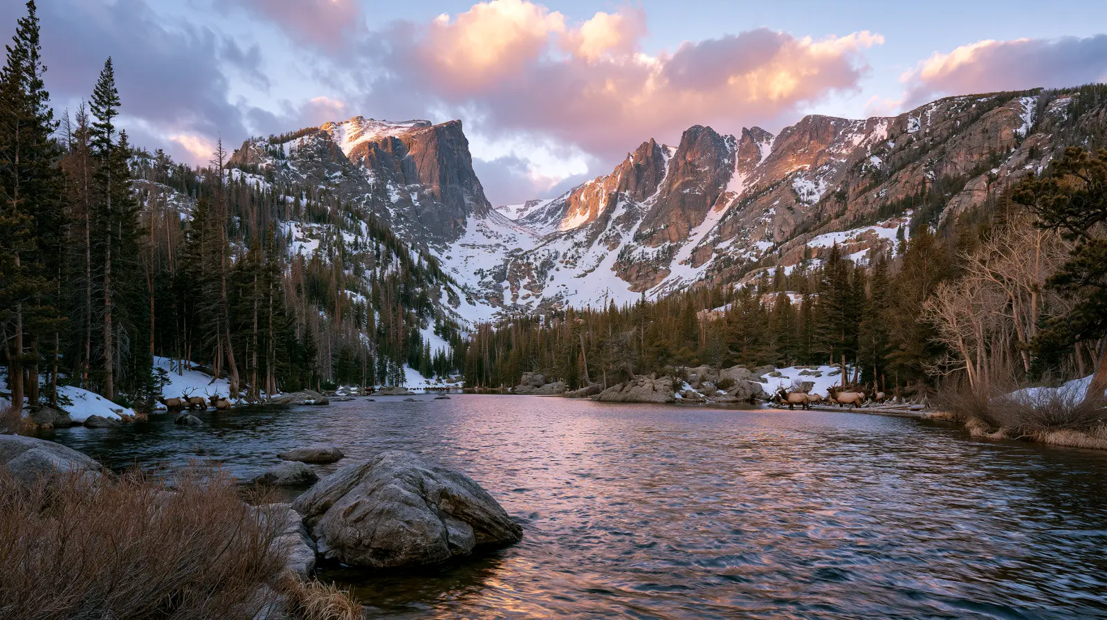 State Forest
