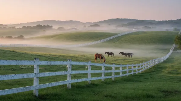 White-fenced horse pastures in Kentucky bluegrass country