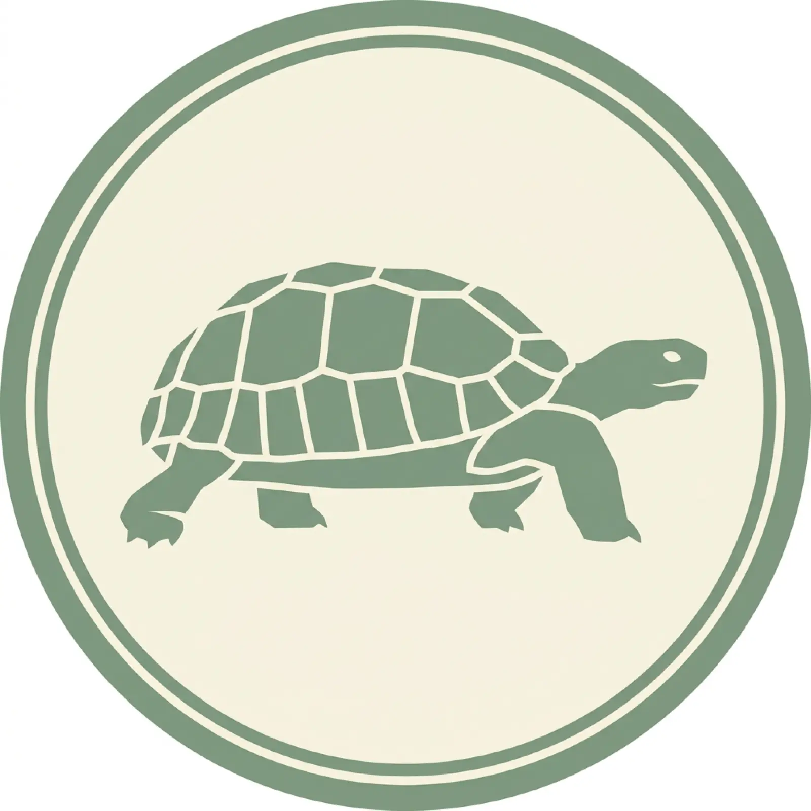 Nevada state mascot illustration — desert tortoise