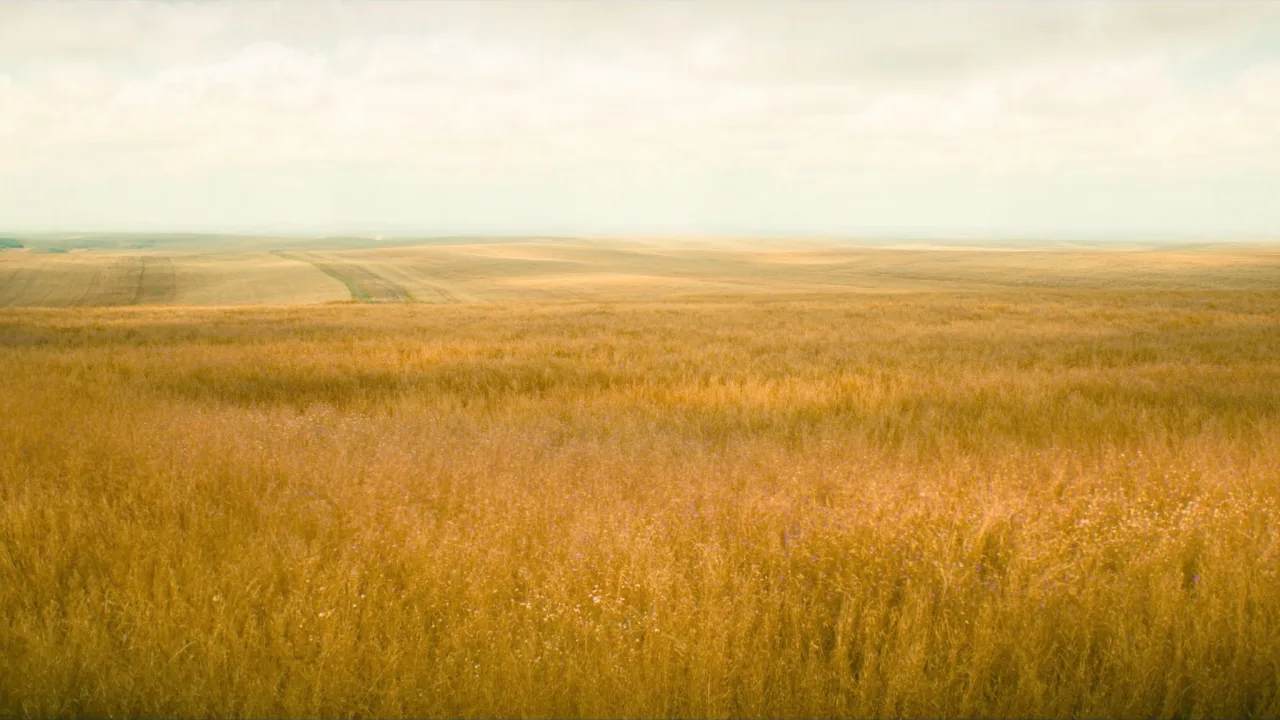 Illinois landscape — PickRV editorial imagery.