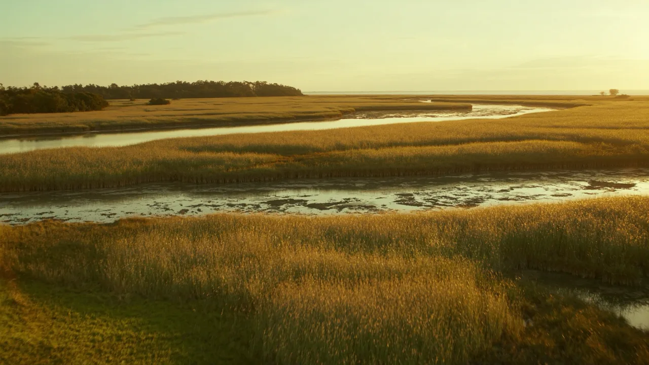 South Carolina landscape — PickRV editorial imagery.
