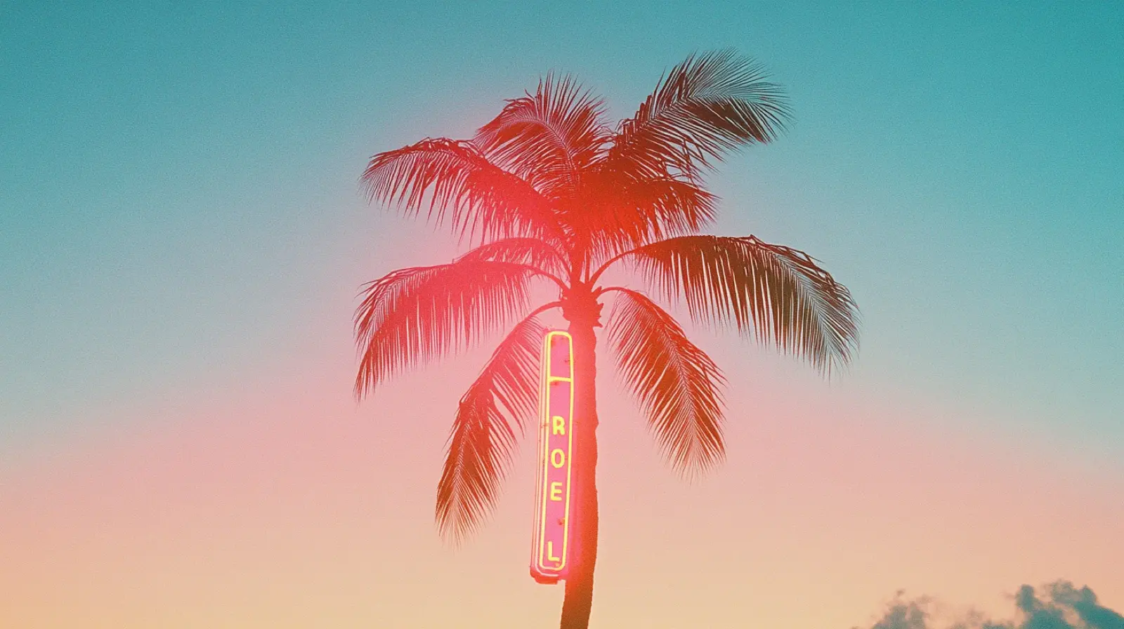 Vintage Miami art deco motel sign lit by a neon palm tree
