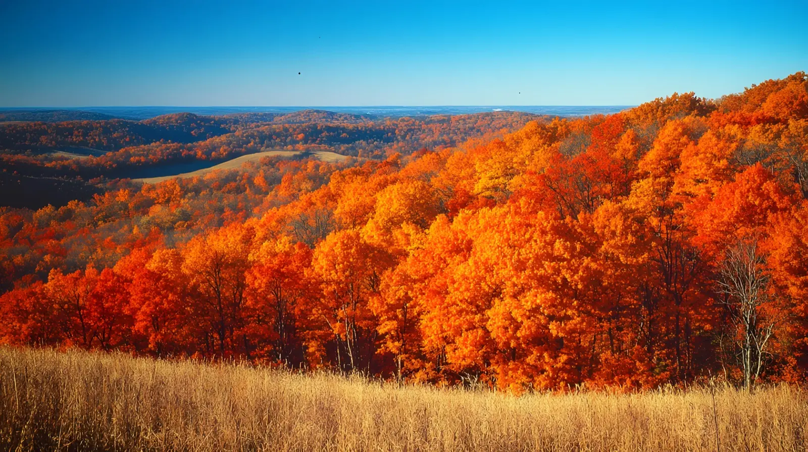 Brown County hillsides at peak autumn color, Indiana