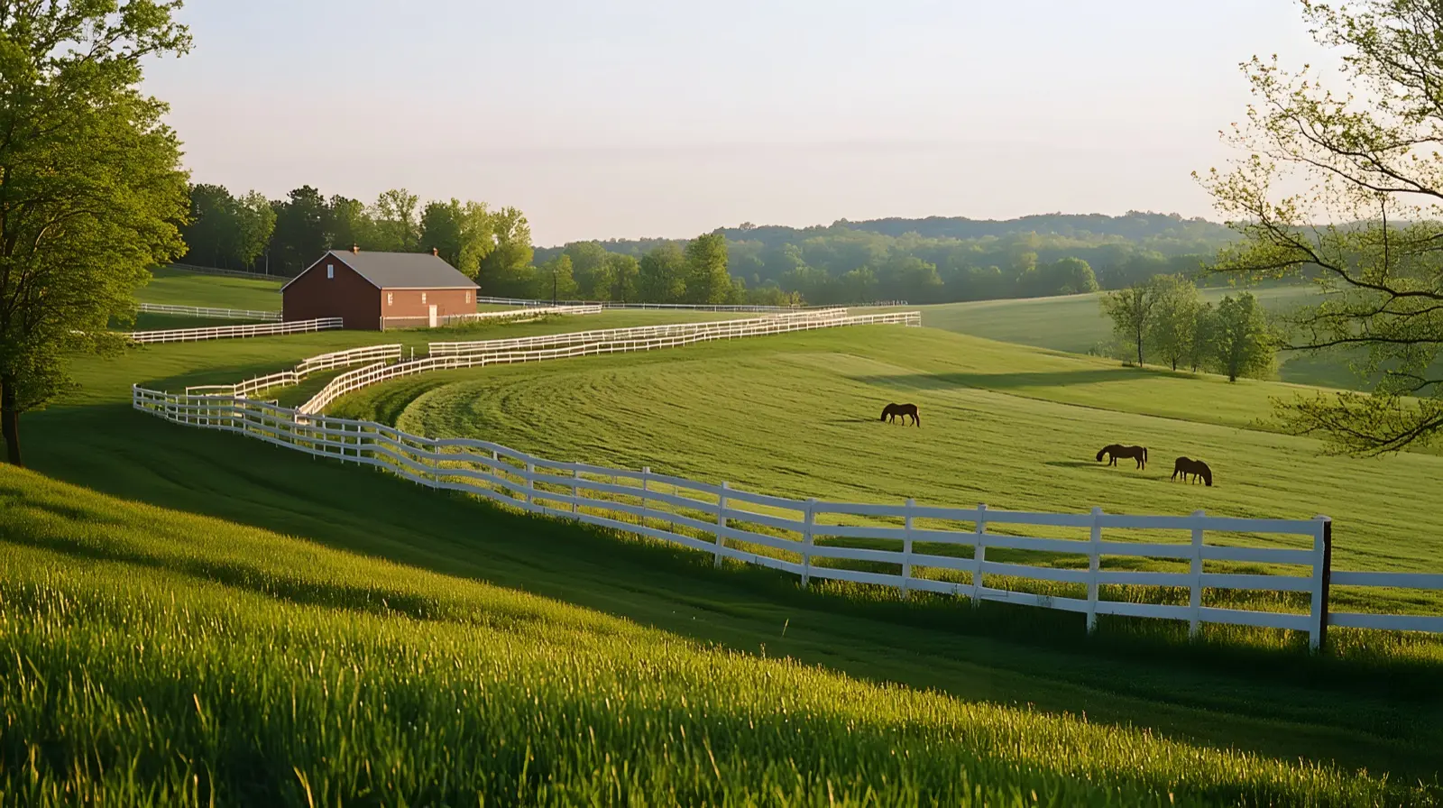 Rolling Kentucky horse farm lined with white fences