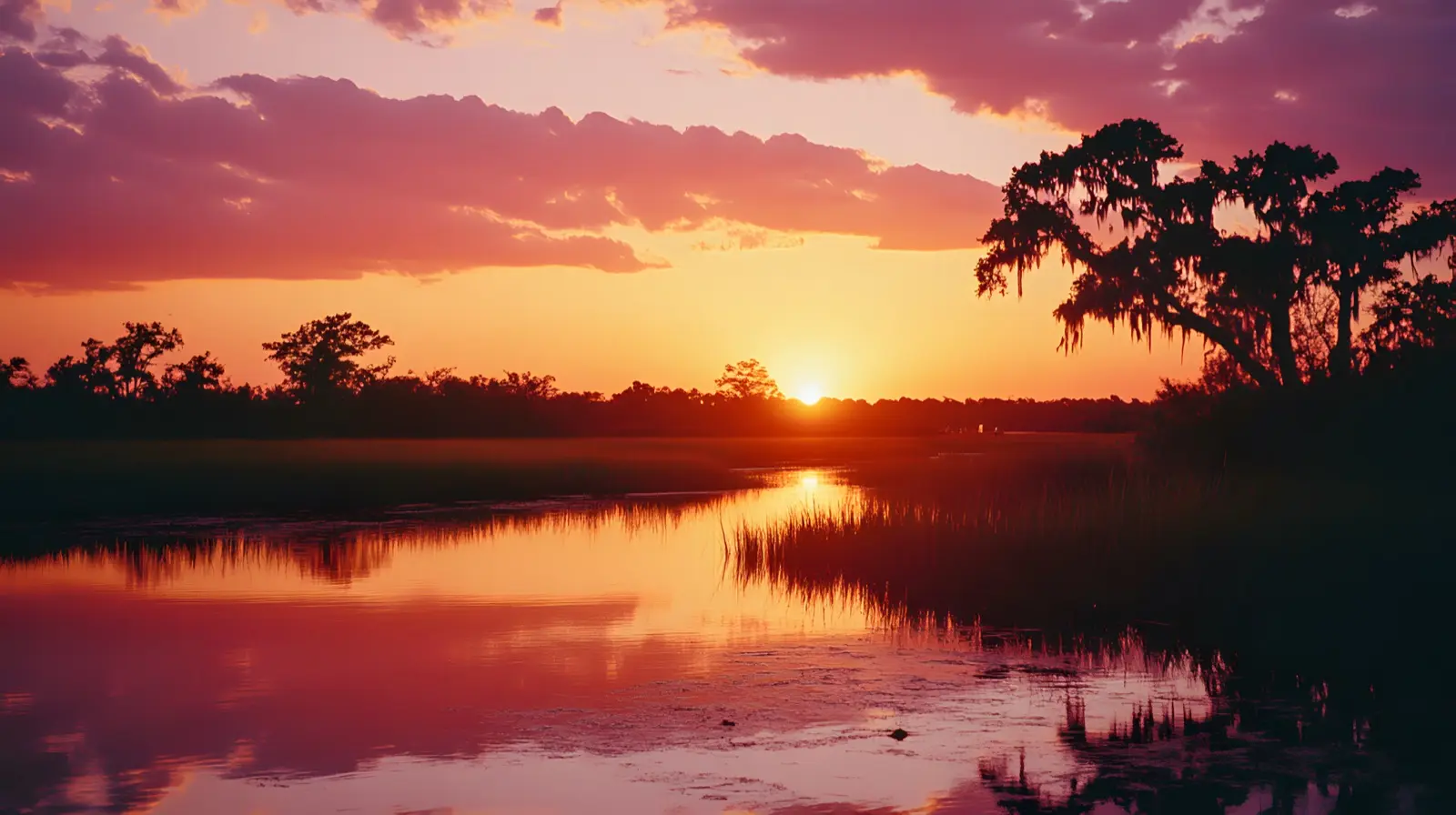Avery Island Louisiana sunset over salt marsh vibrant pink