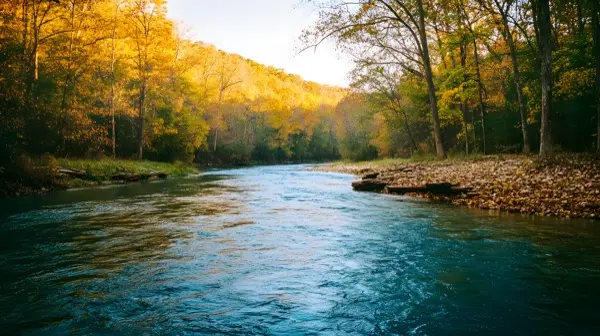 Current River in Missouri Ozarks at golden hour crystal clear