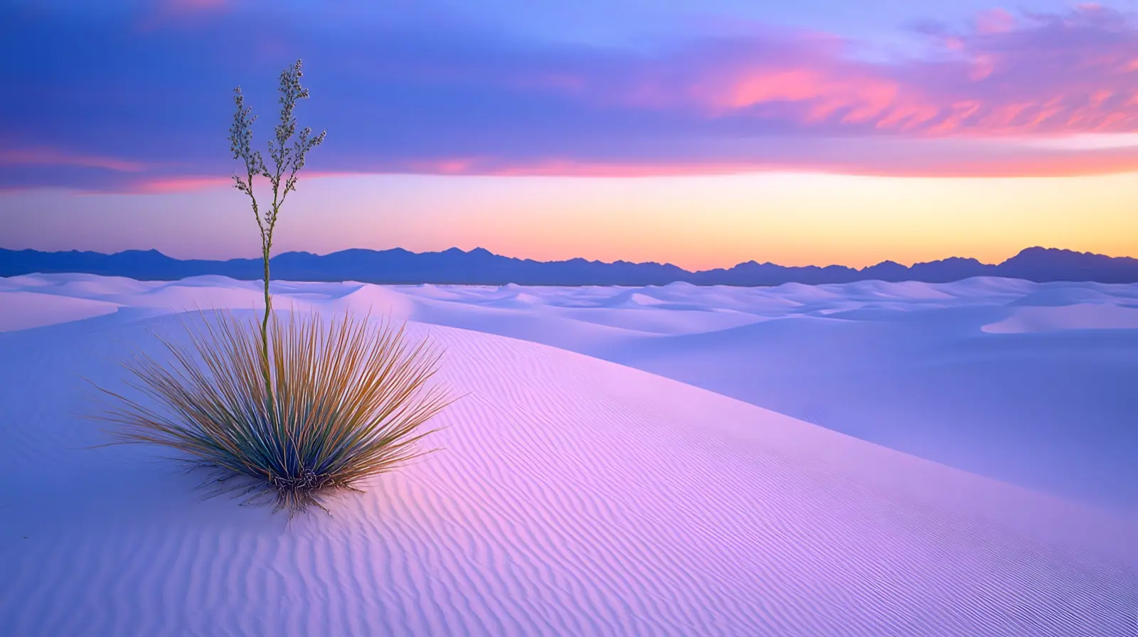White gypsum dunes of White Sands National Park, New Mexico