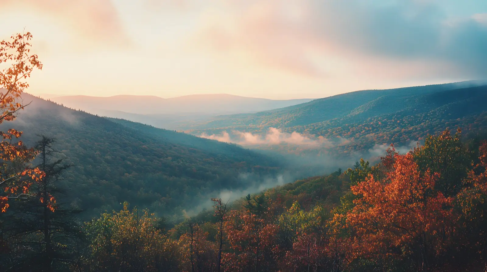 Fog rising off the forested Catskills at sunrise, New York