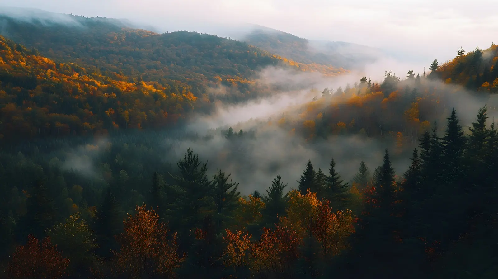 Foggy morning in Green Mountains of Vermont with mist rising
